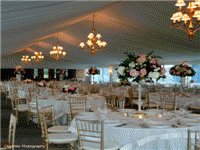 Wedding Tent Hire